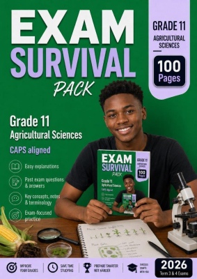 Grade 11 - Accounting